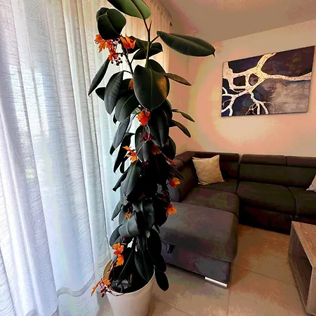 דירה New Luxury Air-conditioned Apartment, With Jacuzzi, Free Parking And Gardens *